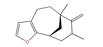 Isonakafuran 9